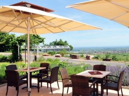 照片: Hotel Haus am Weinberg